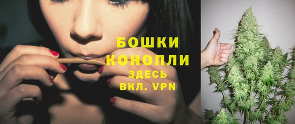 хмурый Новозыбков