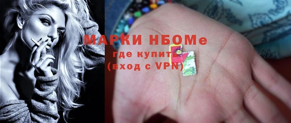 хмурый Новозыбков
