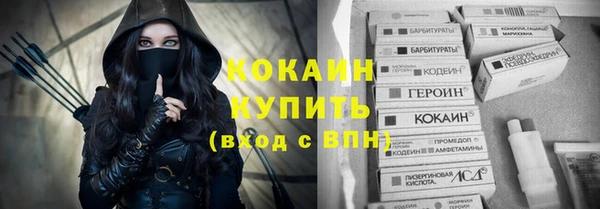крисы Няндома