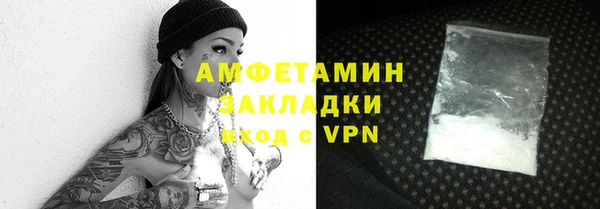 крисы Няндома