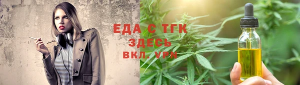 хмурый Новозыбков