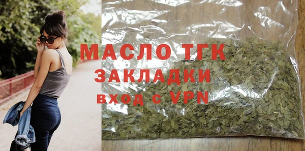 хмурый Новозыбков