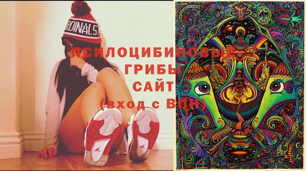 крисы Няндома