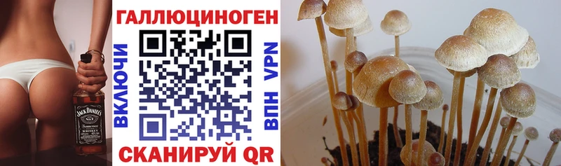 Галлюциногенные грибы прущие грибы Саки