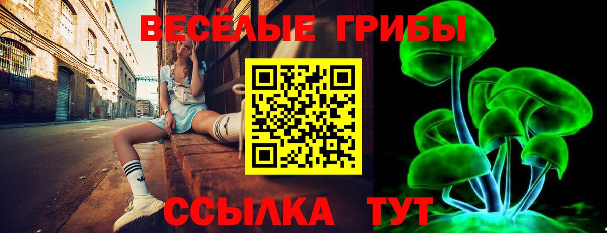 Саки  Псилоцибиновые грибы Psilocybine cubensis  как найти   Вход с VPN 